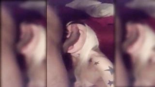 Tatted Shemale Top Compilation- Shemale6.Com