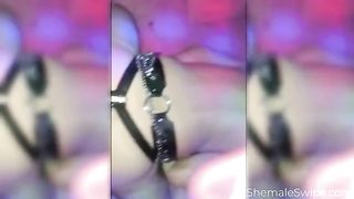 Top Shemale Babes- Shemale6.Com