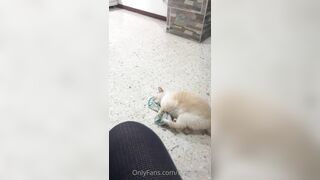 Brandy Mia Onlyfans 75