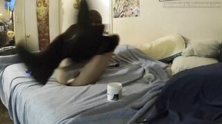 Kawaii Jess Trap With A Nice Big Dildo