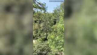 Kylie Karma Onlyfans 65