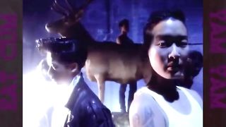 My Story Draft - Shemale6.com