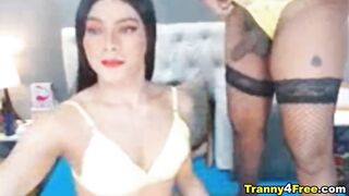 Shemale Couple Dirty Bedroom Cock Sucking - Shemale6.com