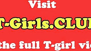 Tattooed Shemales Buttfuck After Cocksuck - Shemale6.com