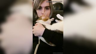 Ella Hollywood Polling to See What U Wanna See